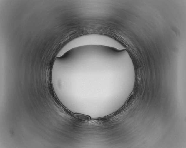 X0000110900409200907091420