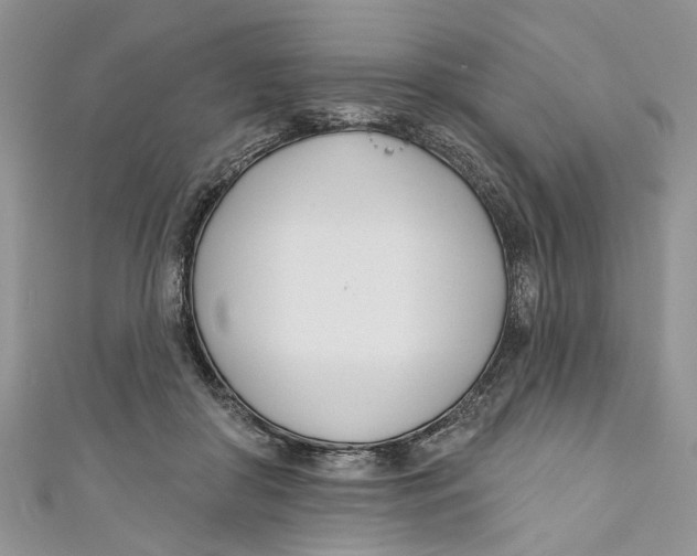 X0000110900410200907091420