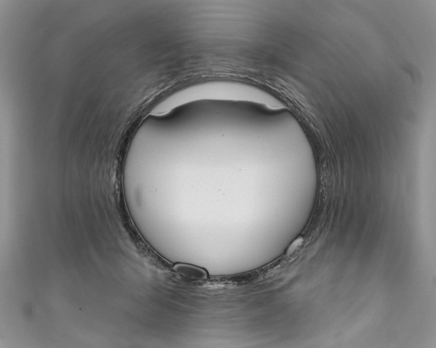 X0000110900415200907091420