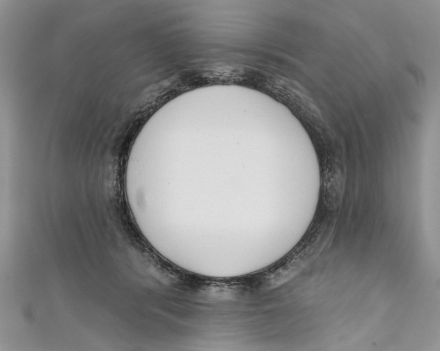 X0000110900416200907091420