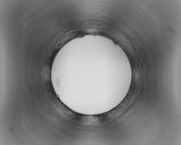 X0000110900421200907091420