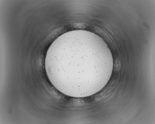 X0000110900424200907091420