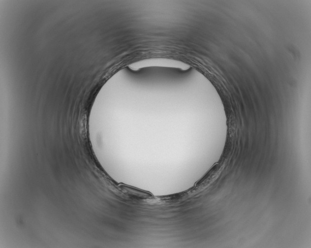 X0000110900425200907091420