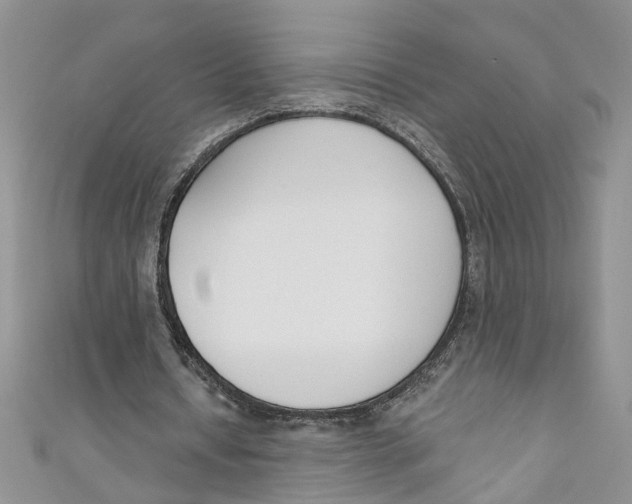 X0000110900434200907091419