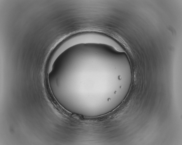 X0000110900436200907091419