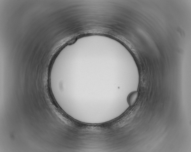 X0000110900437200907091419