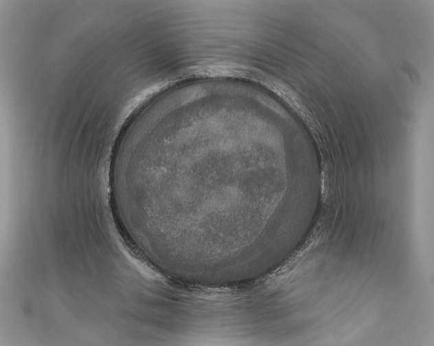 X0000110900438200907091419