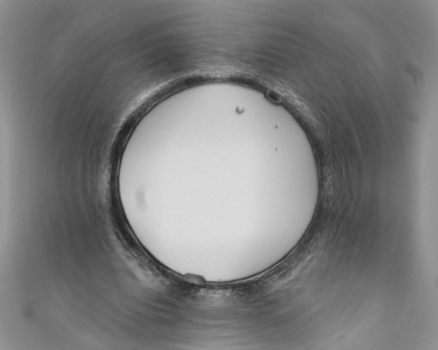 X0000110900440200907091419