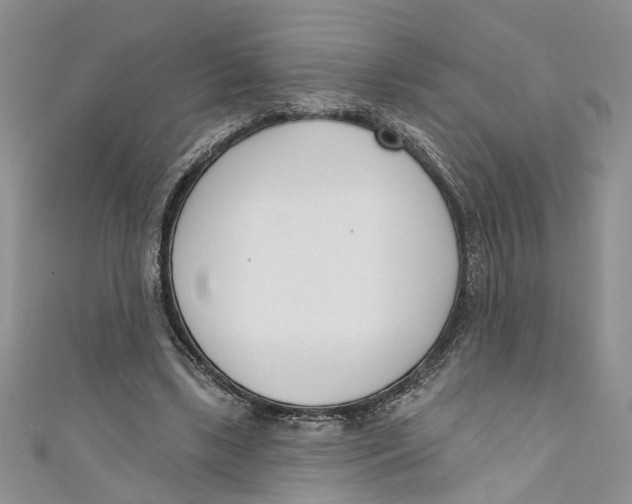 X0000110900443200907091419