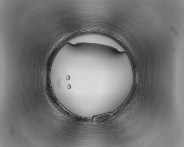 X0000110900444200907091419