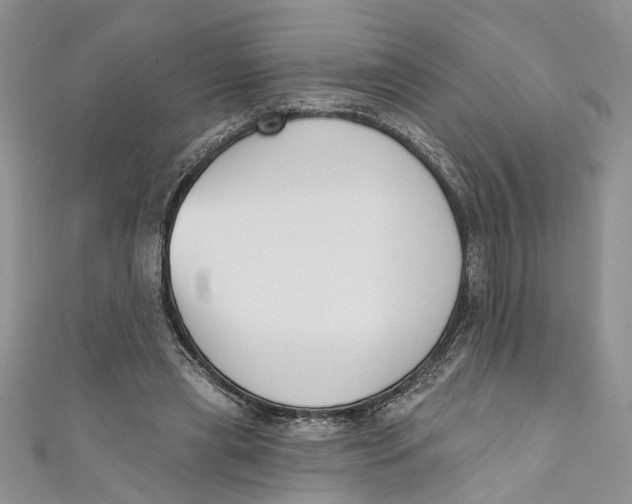 X0000110900445200907091419