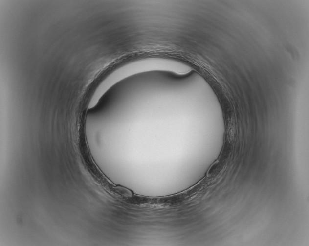 X0000110900448200907091419