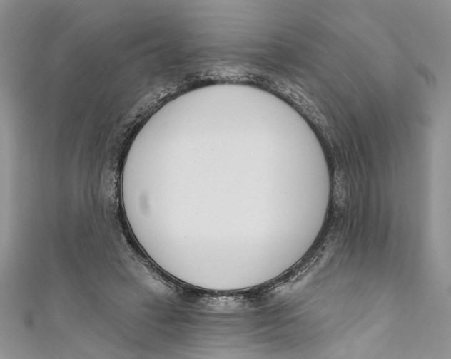 X0000110900449200907091419