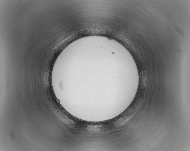 X0000110900450200907091419