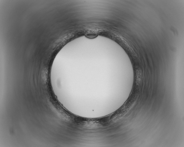 X0000110900451200907091419