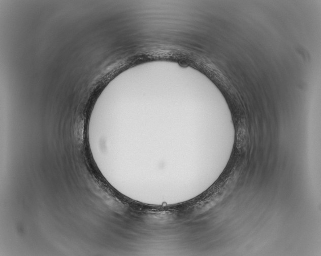 X0000110900454200907091419