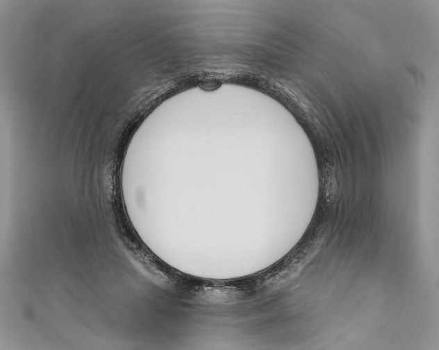 X0000110900455200907091419