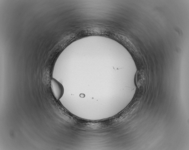 X0000110900457200907091419