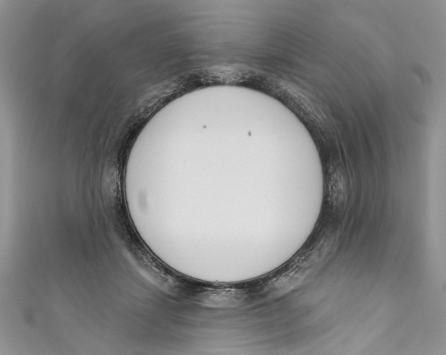 X0000110900459200907091419