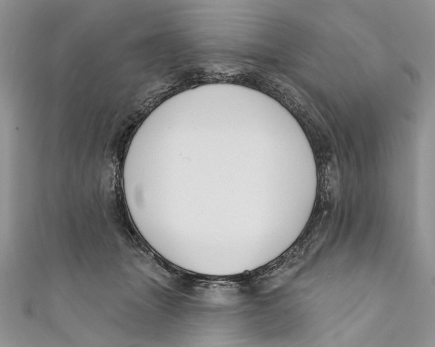 X0000110900463200907091419