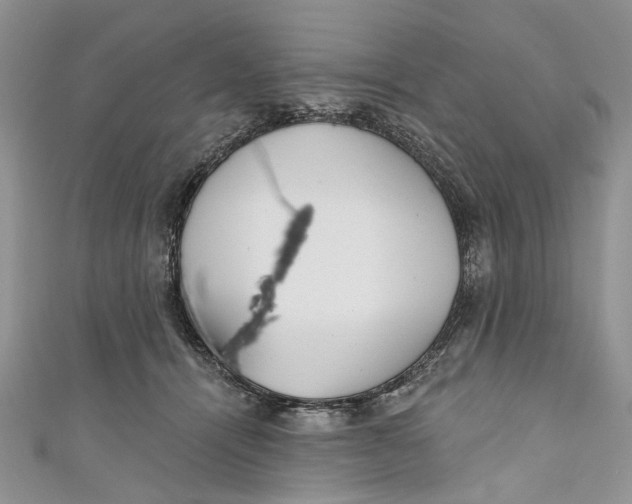 X0000110900464200907091419