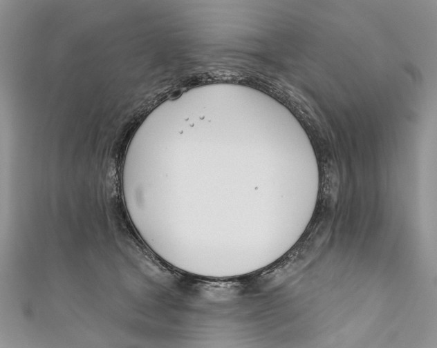 X0000110900465200907091419