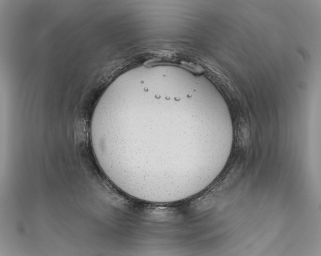 X0000110900467200907091419