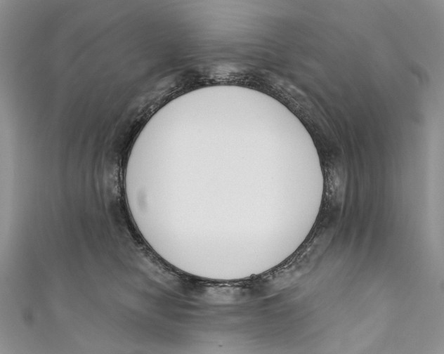 X0000110900470200907091419