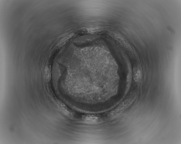 X0000110900471200907091419