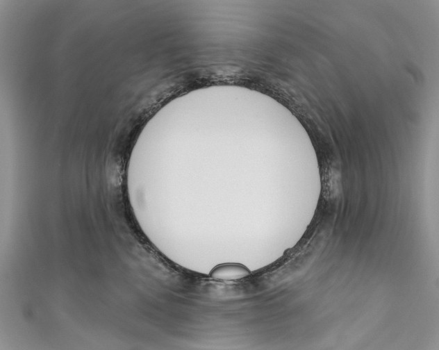 X0000110900472200907091419