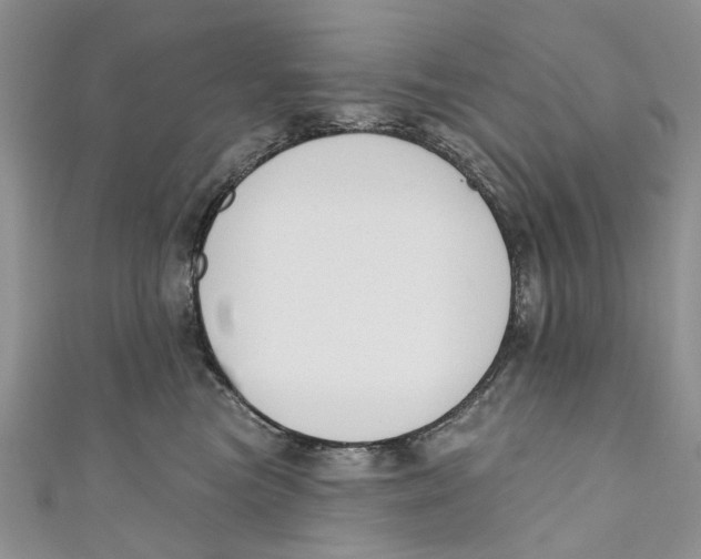 X0000110900473200907091419