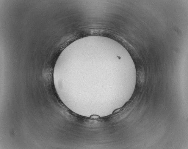 X0000110900475200907091419