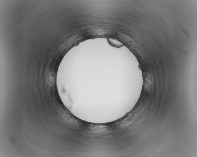 X0000110900476200907091419