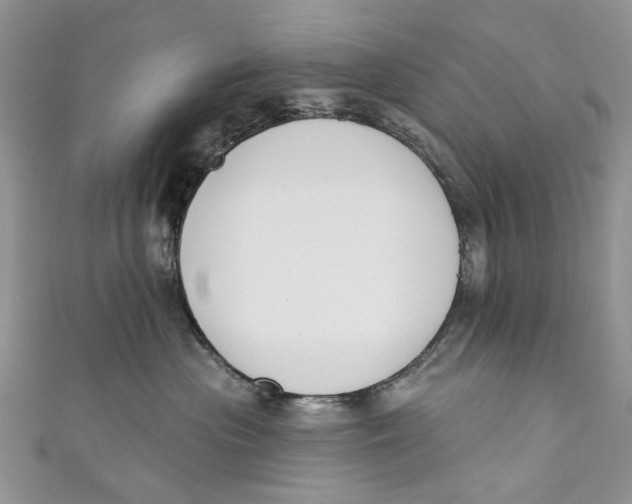 X0000110900477200907091419