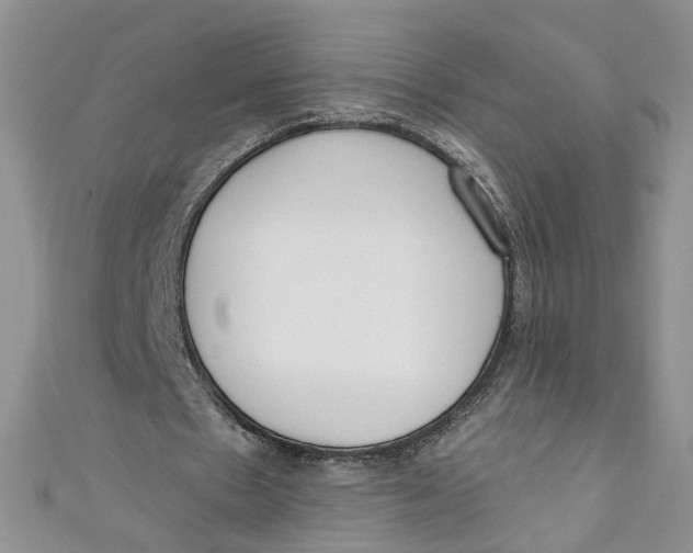 X0000110900481200907091419