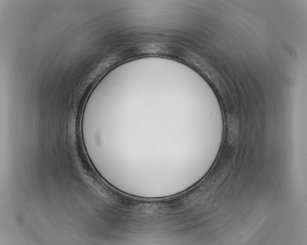 X0000110900482200907091419