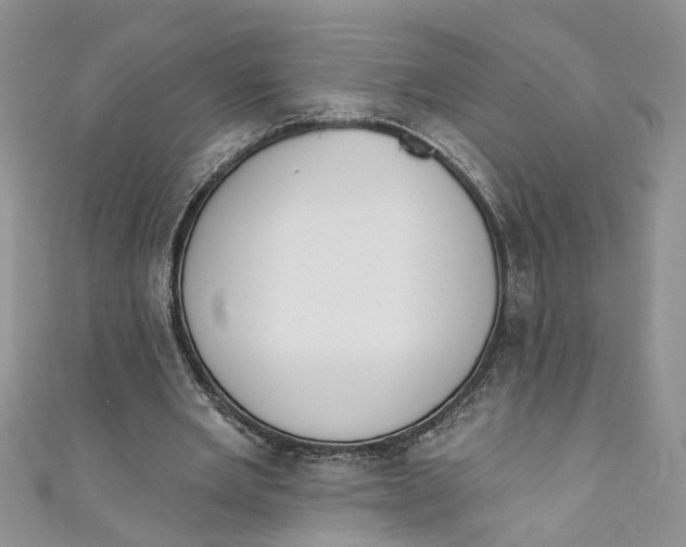 X0000110900485200907091419