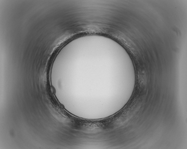 X0000110900488200907091419