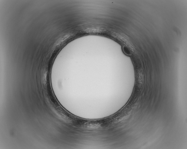 X0000110900491200907091419