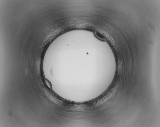 X0000110900493200907091419