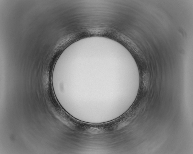 X0000110900494200907091419