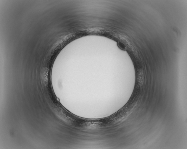 X0000110900495200907091419