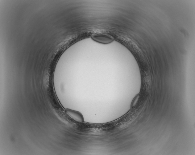 X0000110900496200907091419