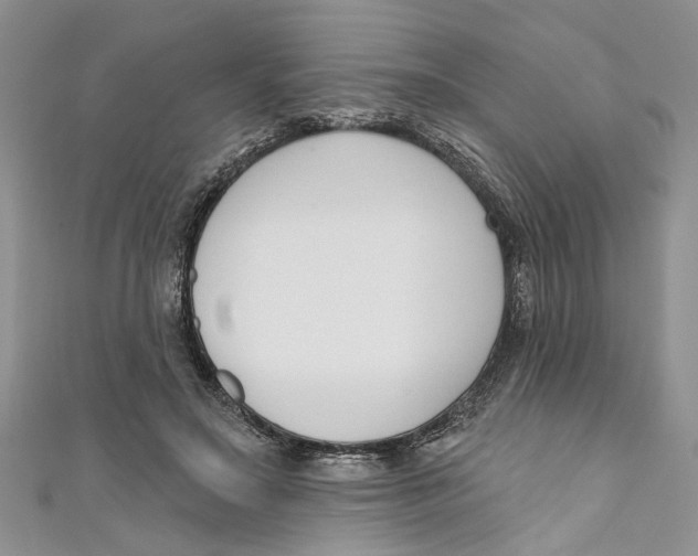 X0000110900499200907091419