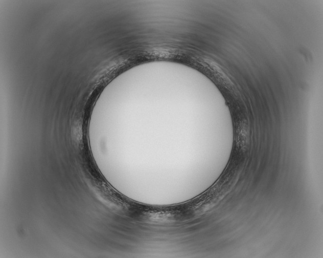 X0000110900500200907091419