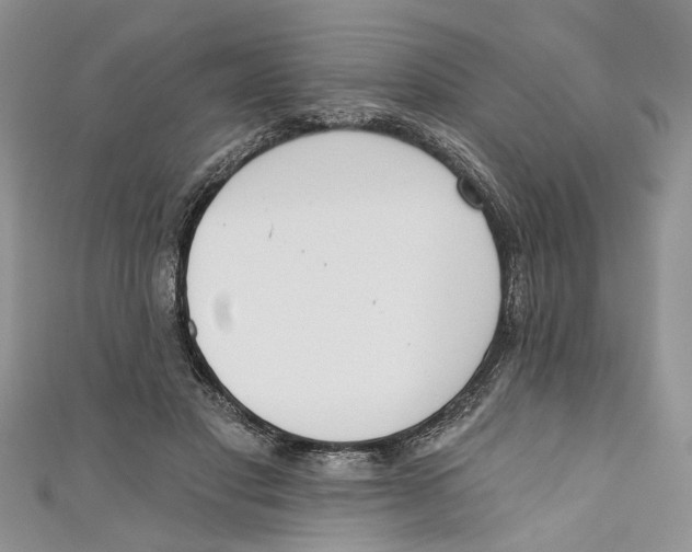 X0000110900501200907091419