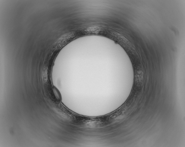 X0000110900504200907091419