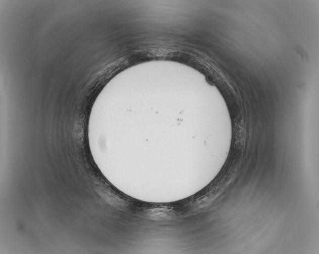 X0000110900505200907091419