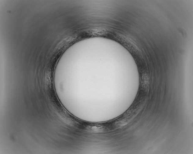 X0000110900506200907091419