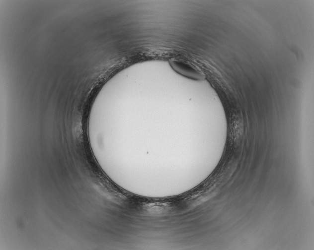 X0000110900508200907091418